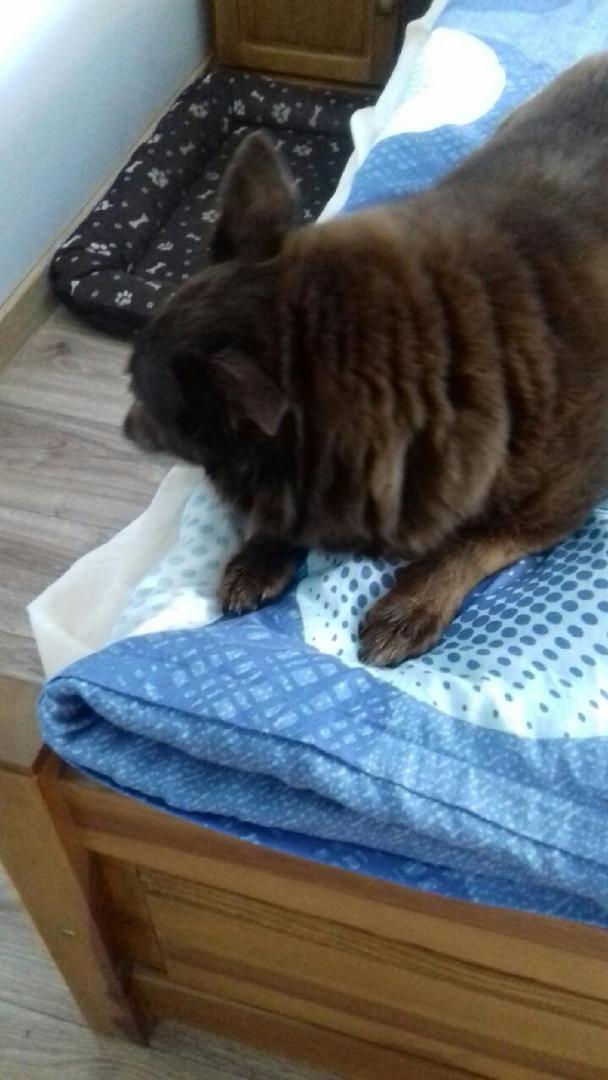 20180624_114316.jpeg