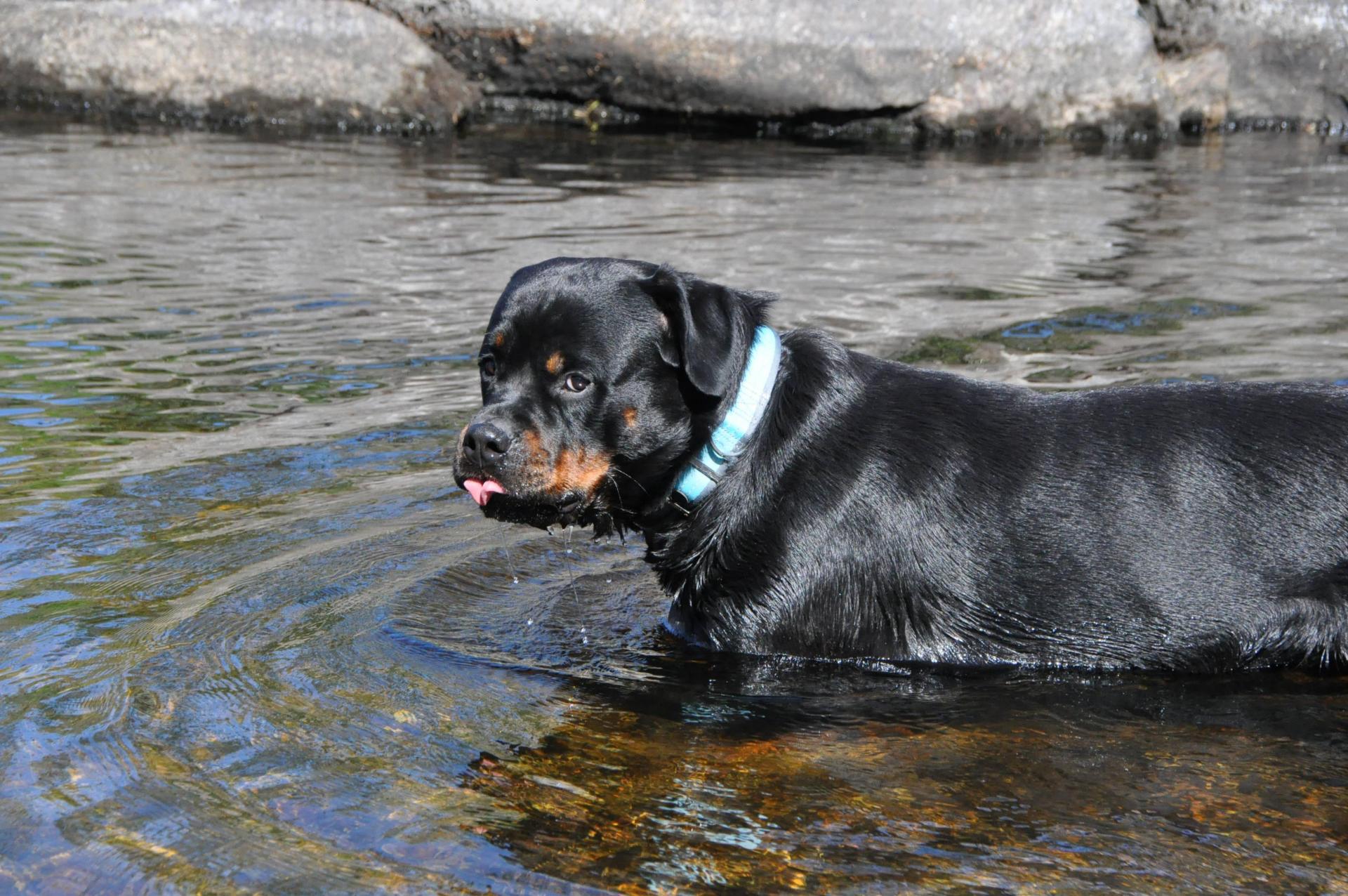DSC_0627.JPG
