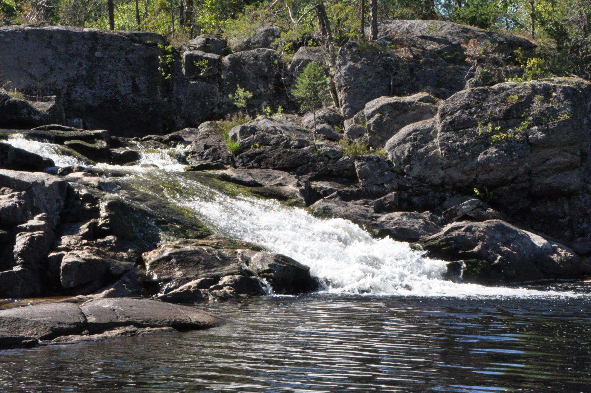 DSC_0737.JPG