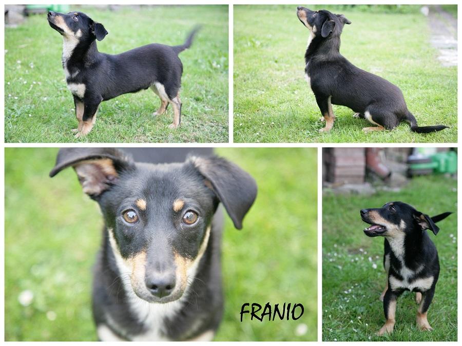 Franiu.jpg.1c8dee20e53d640b96474e1c3ea1eafc.jpg