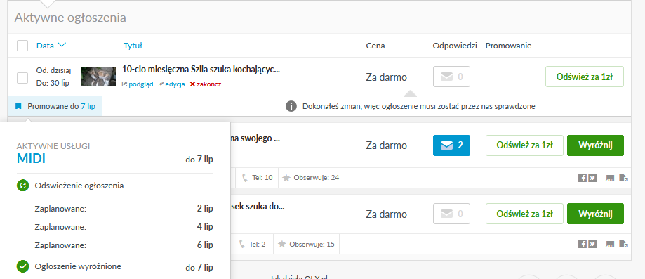 Szila.png.a9a7e7c232678772932fbb943b16923e.png