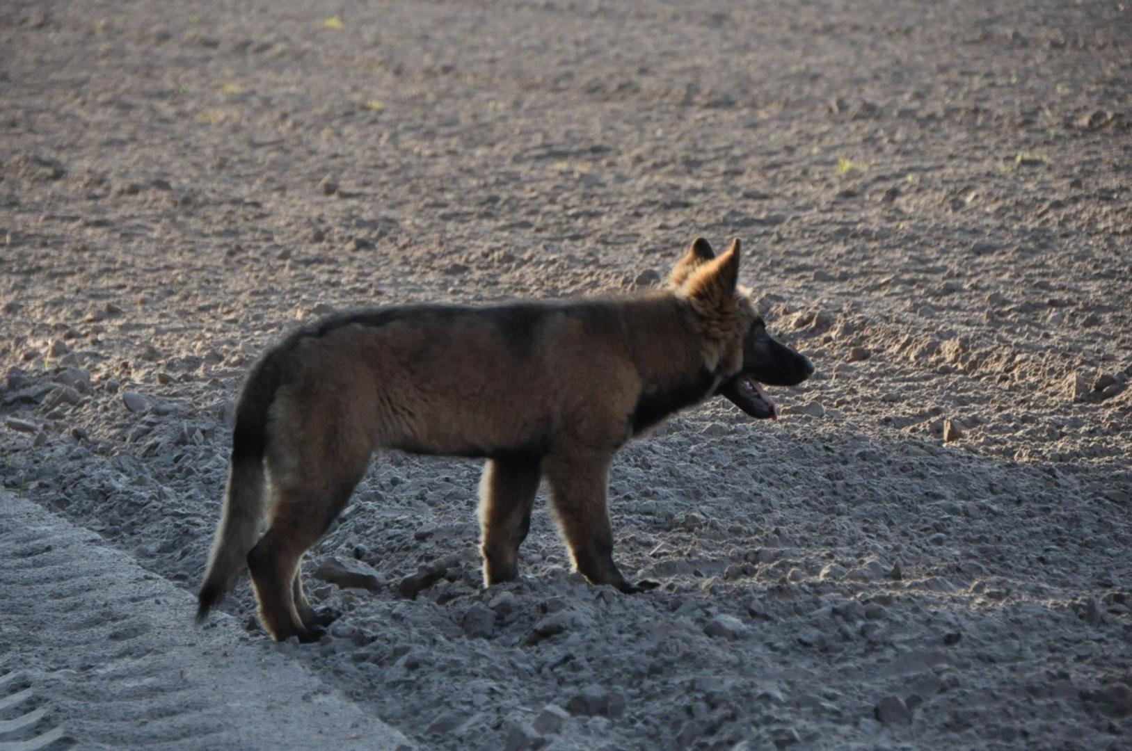 DSC_0010.JPG