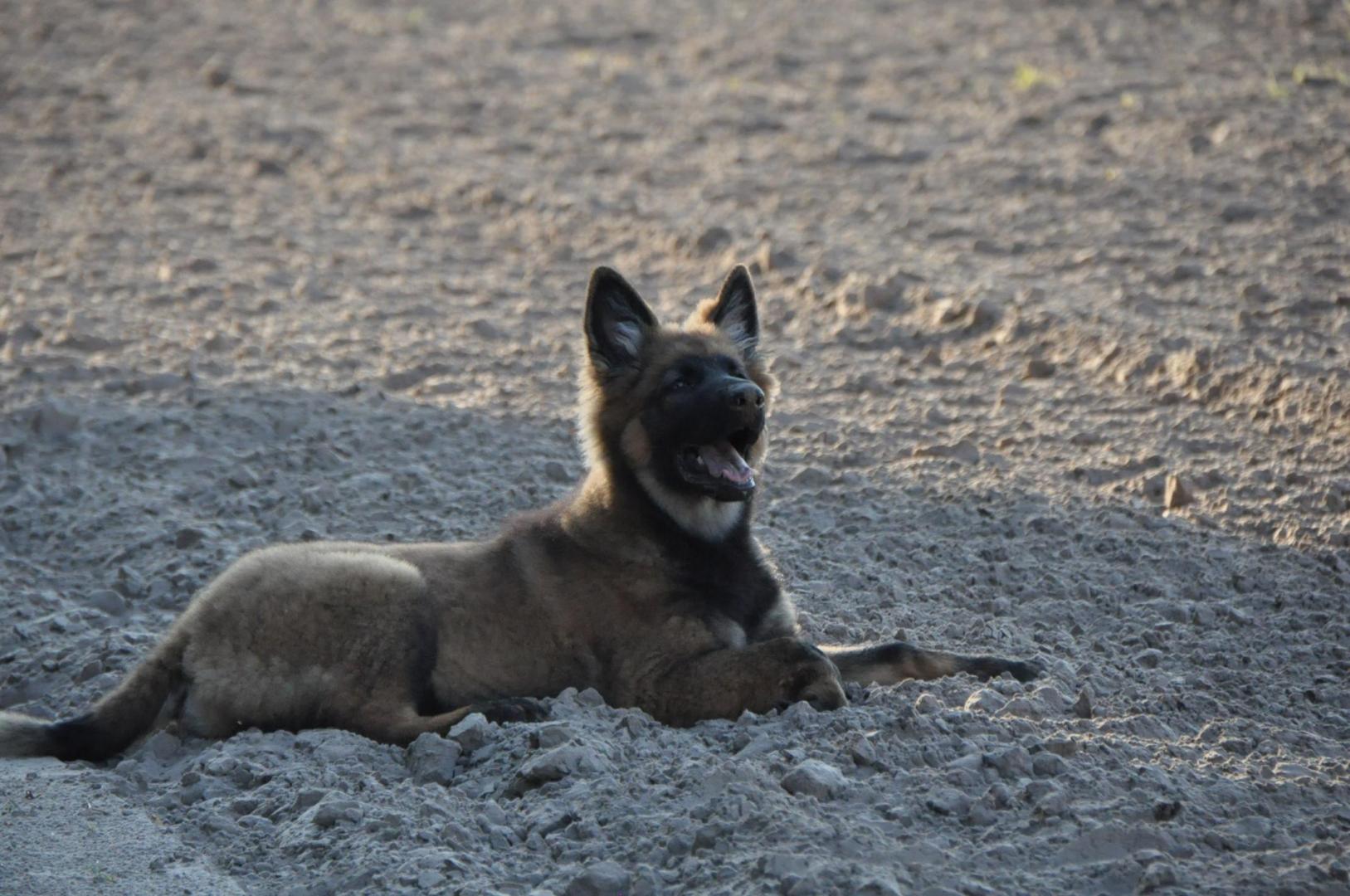 DSC_0050.JPG