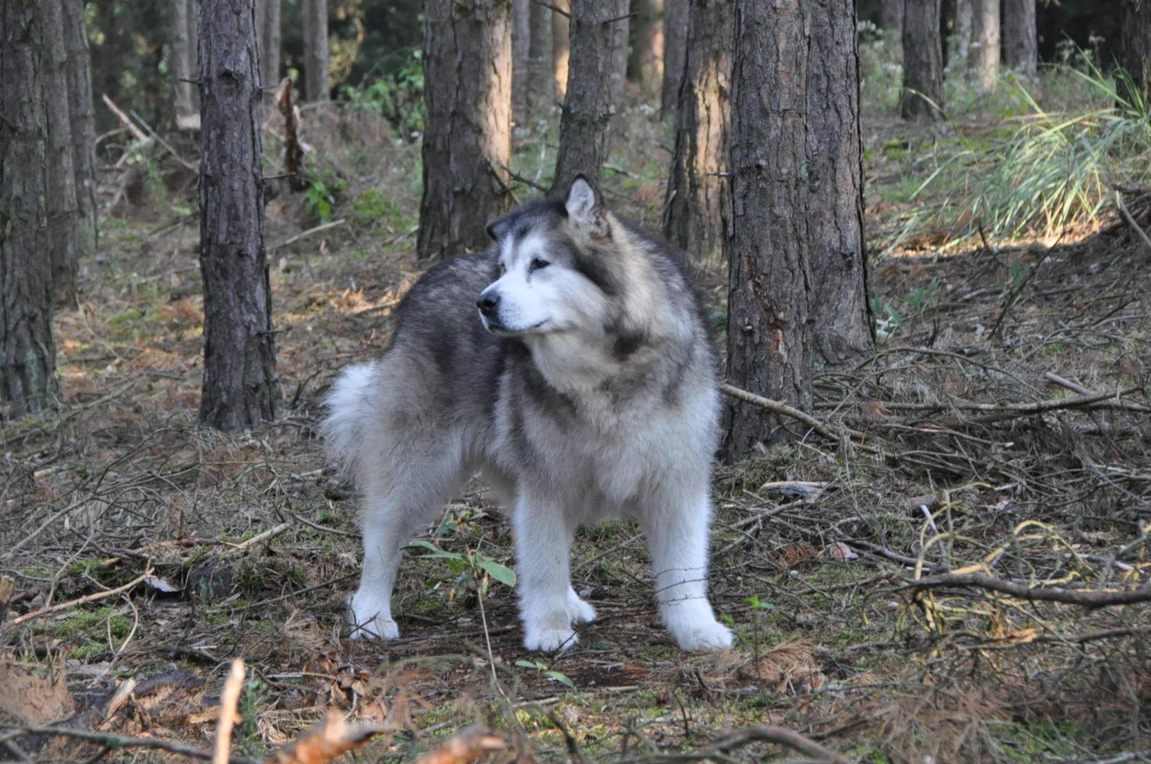 DSC_0064.JPG