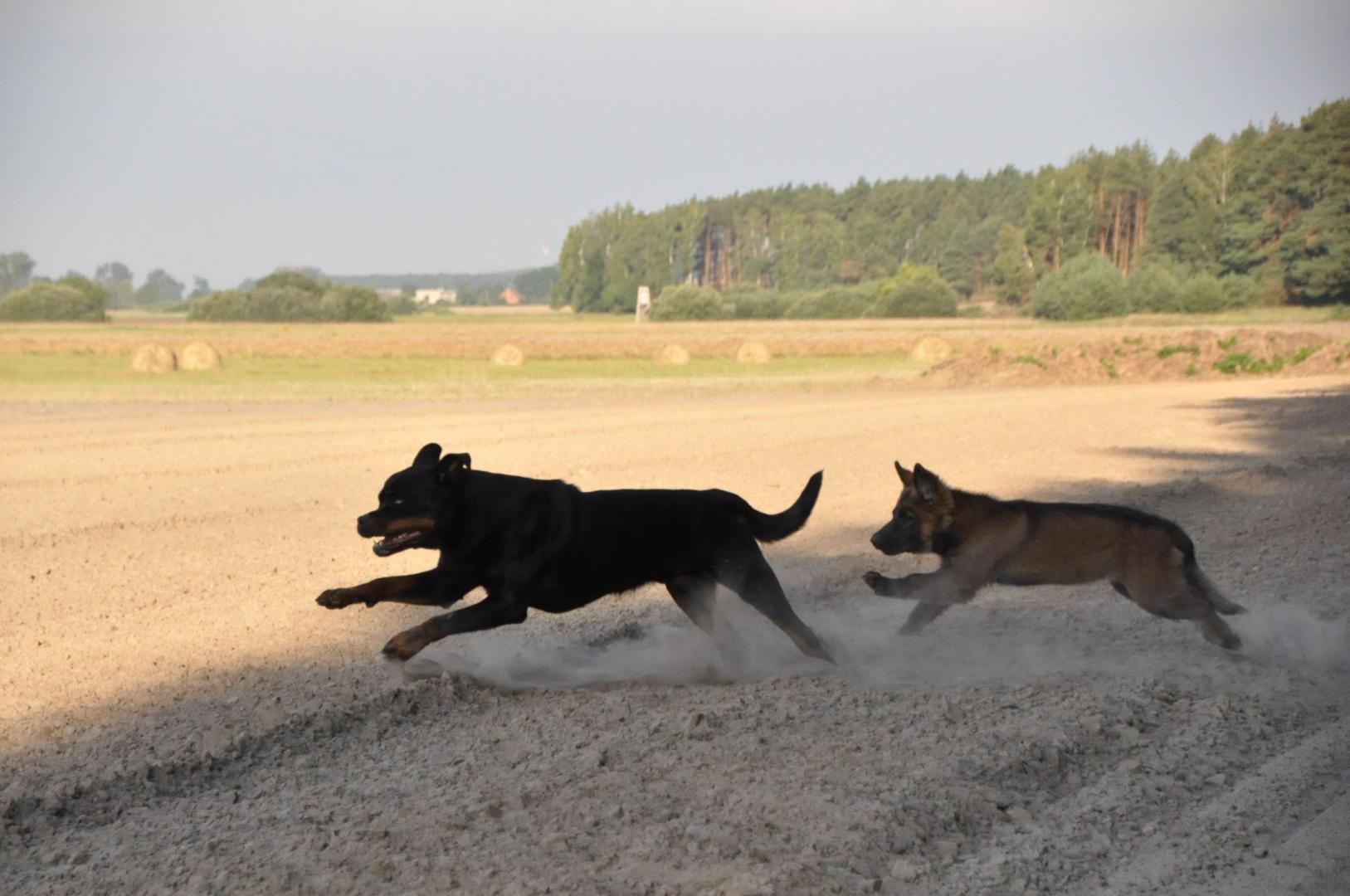 DSC_0117.JPG