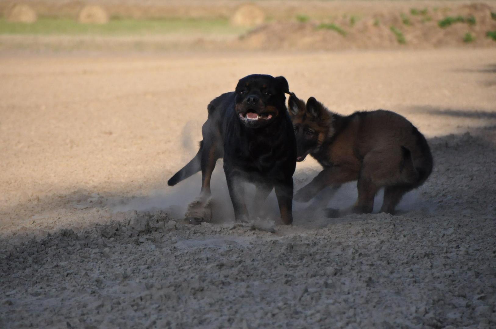 DSC_0207.JPG