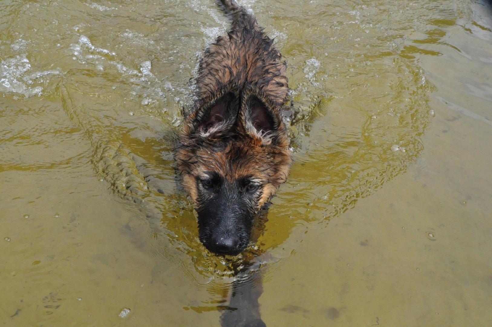 DSC_0262.JPG