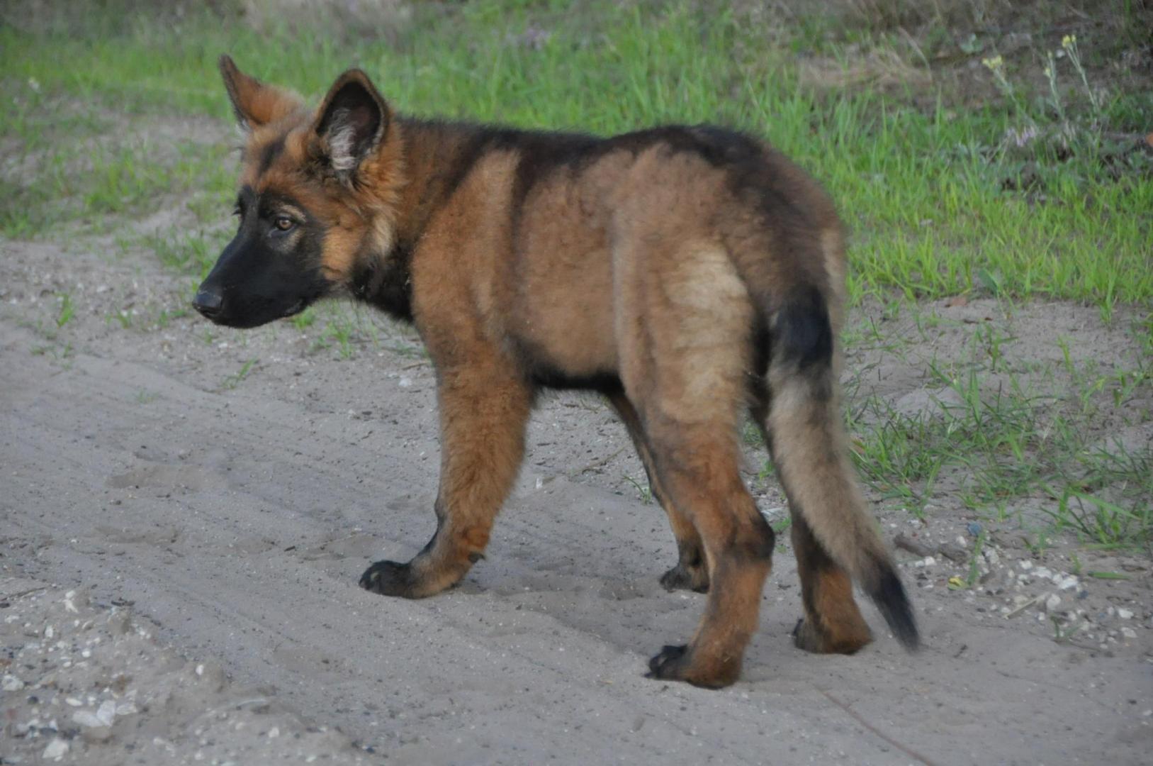 DSC_0287.JPG