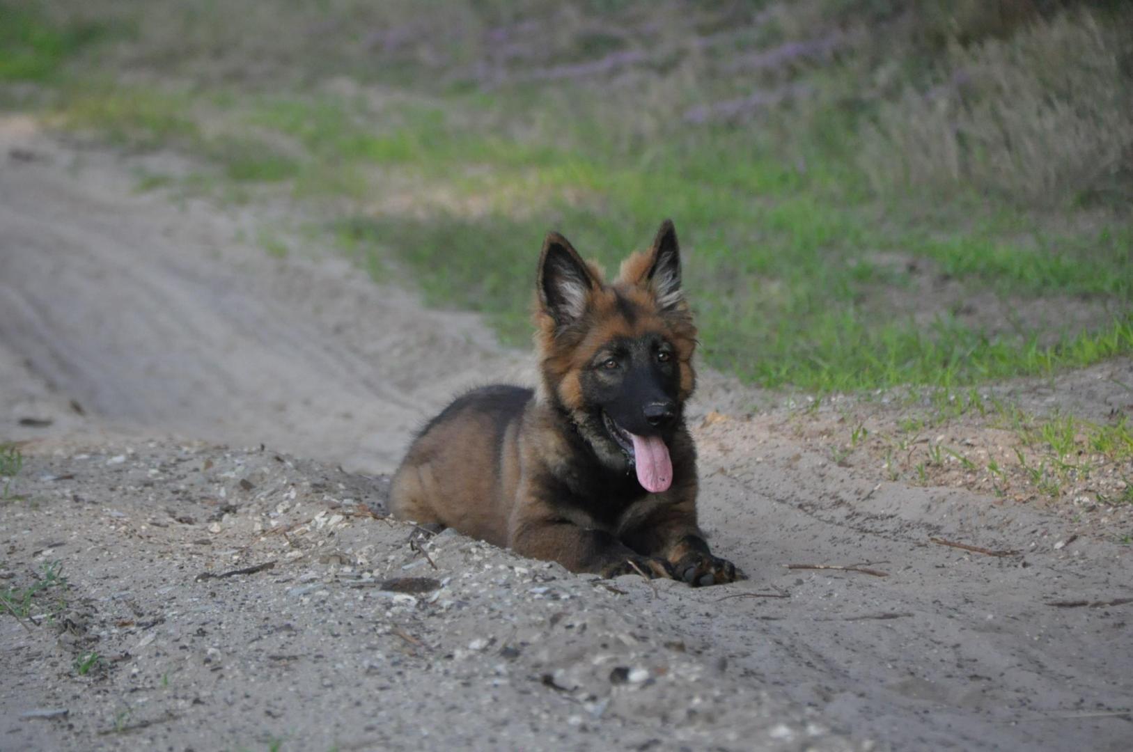 DSC_0317.JPG