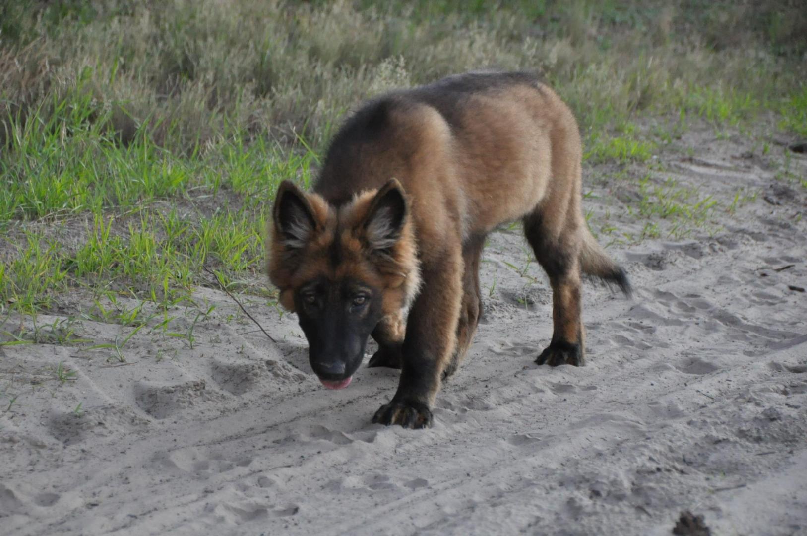 DSC_0329.JPG