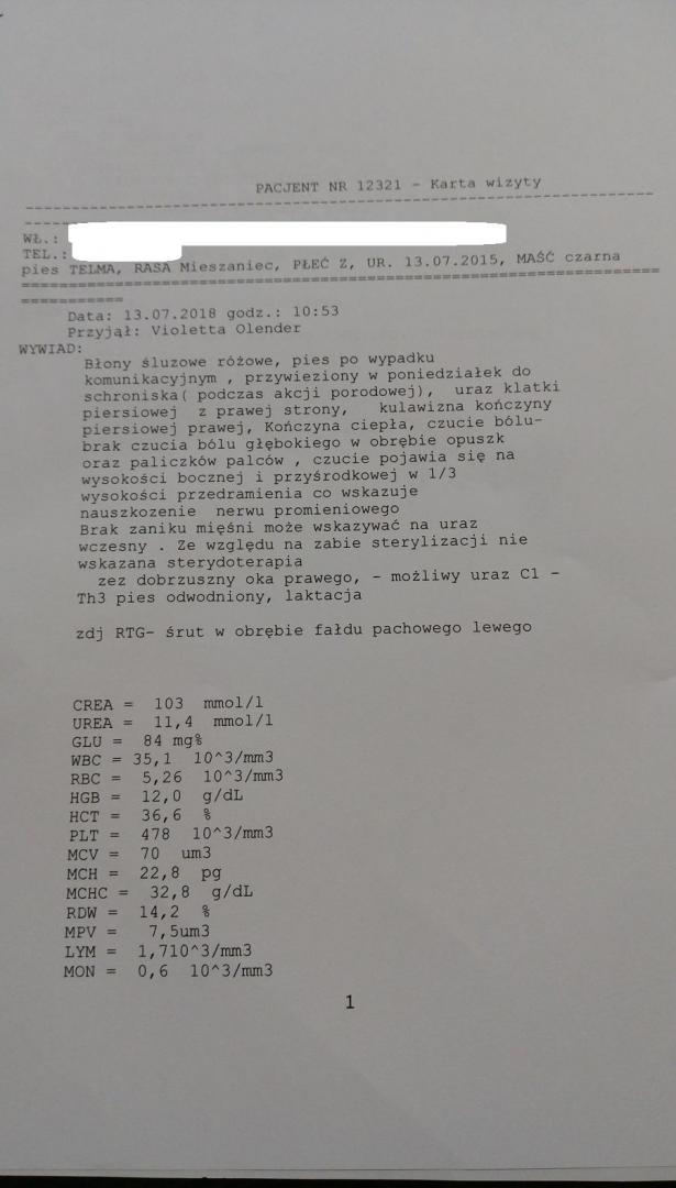 imag7793.thumb.jpg.e6ef4b4ff13338732f8d6c84d2e2445d.jpg