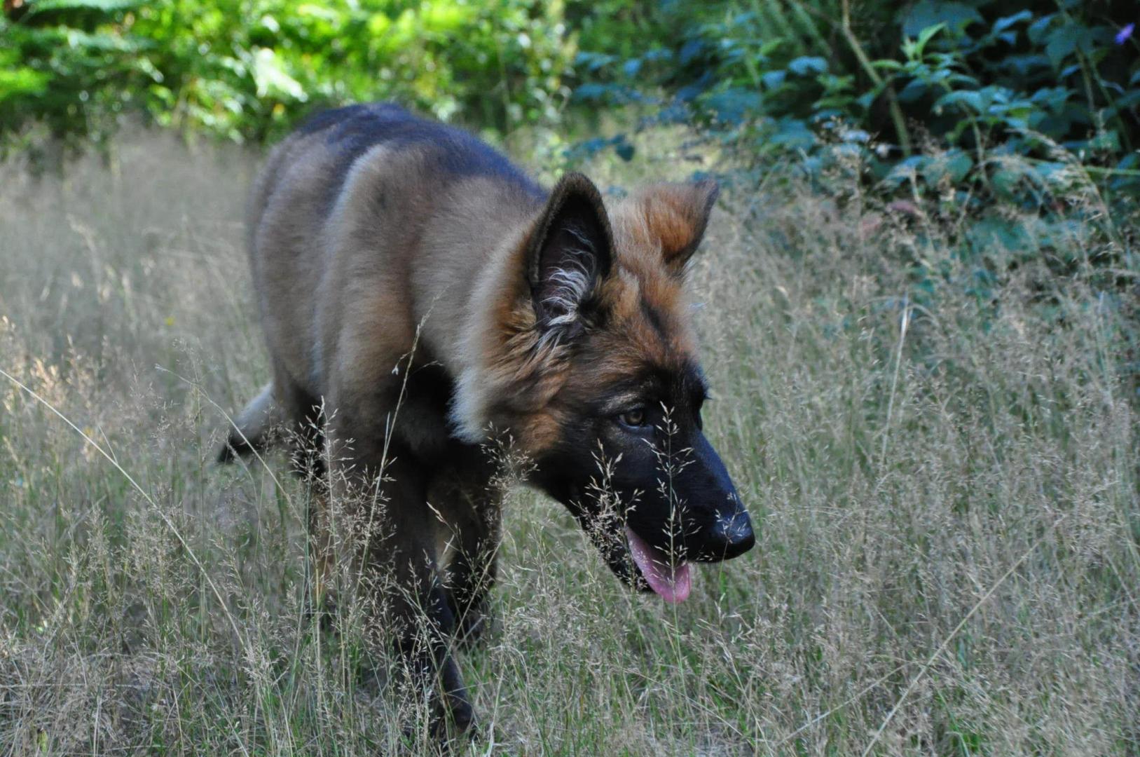 DSC_0128.JPG