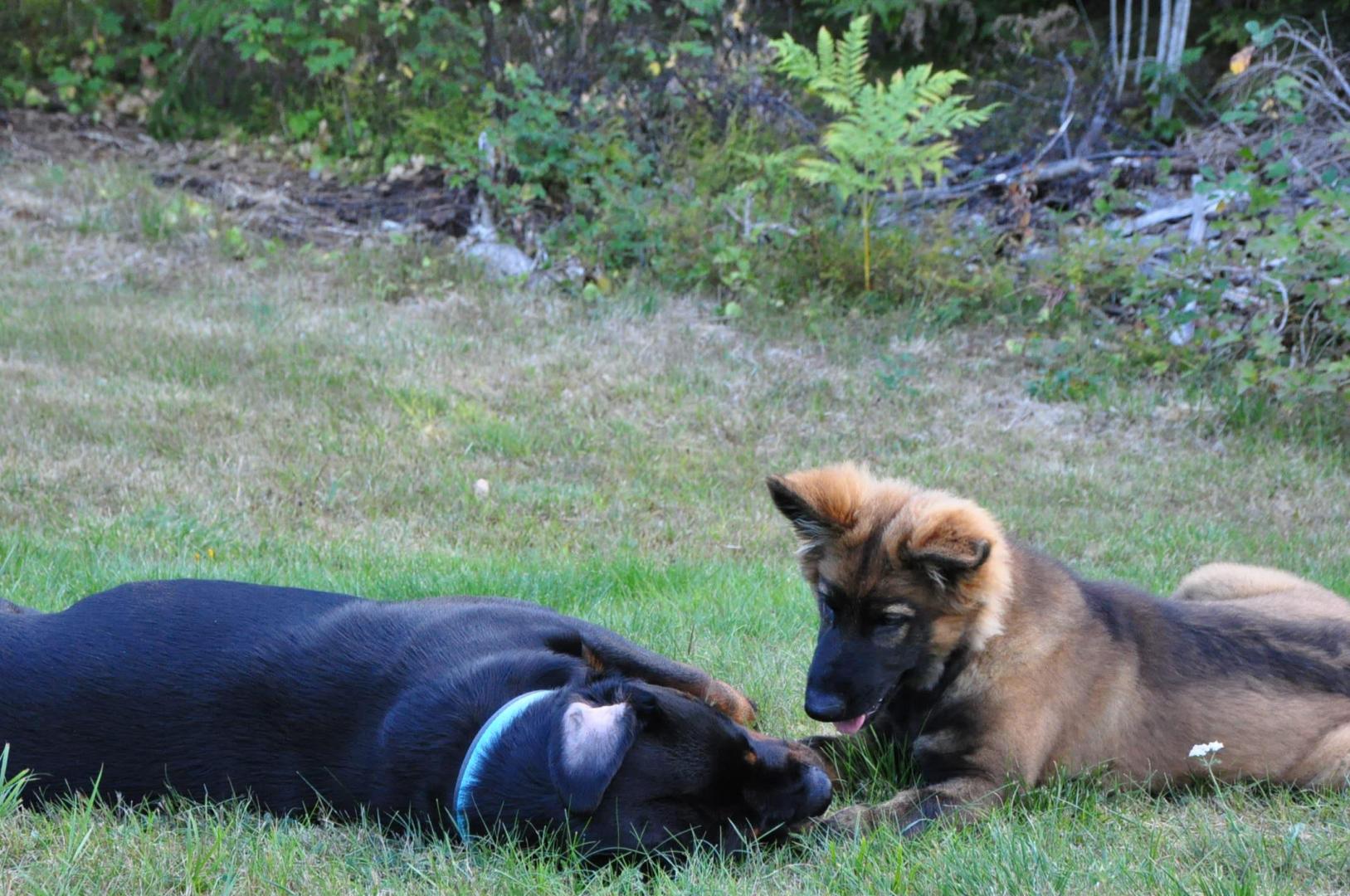 DSC_0247.JPG