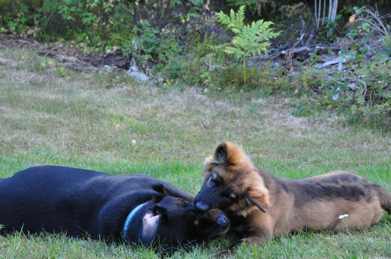 DSC_0249.JPG