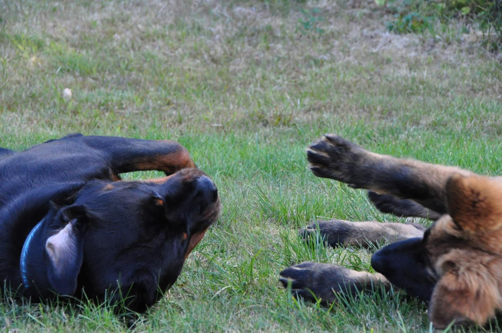 DSC_0258.JPG