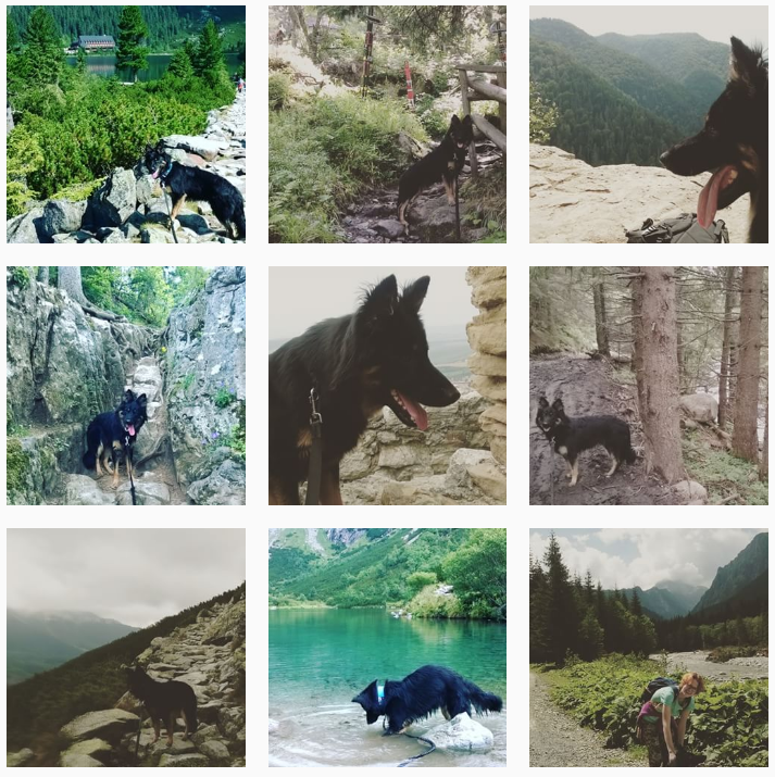 Tatry.png.e292c256bdc0ea720292db86b7018e1f.png