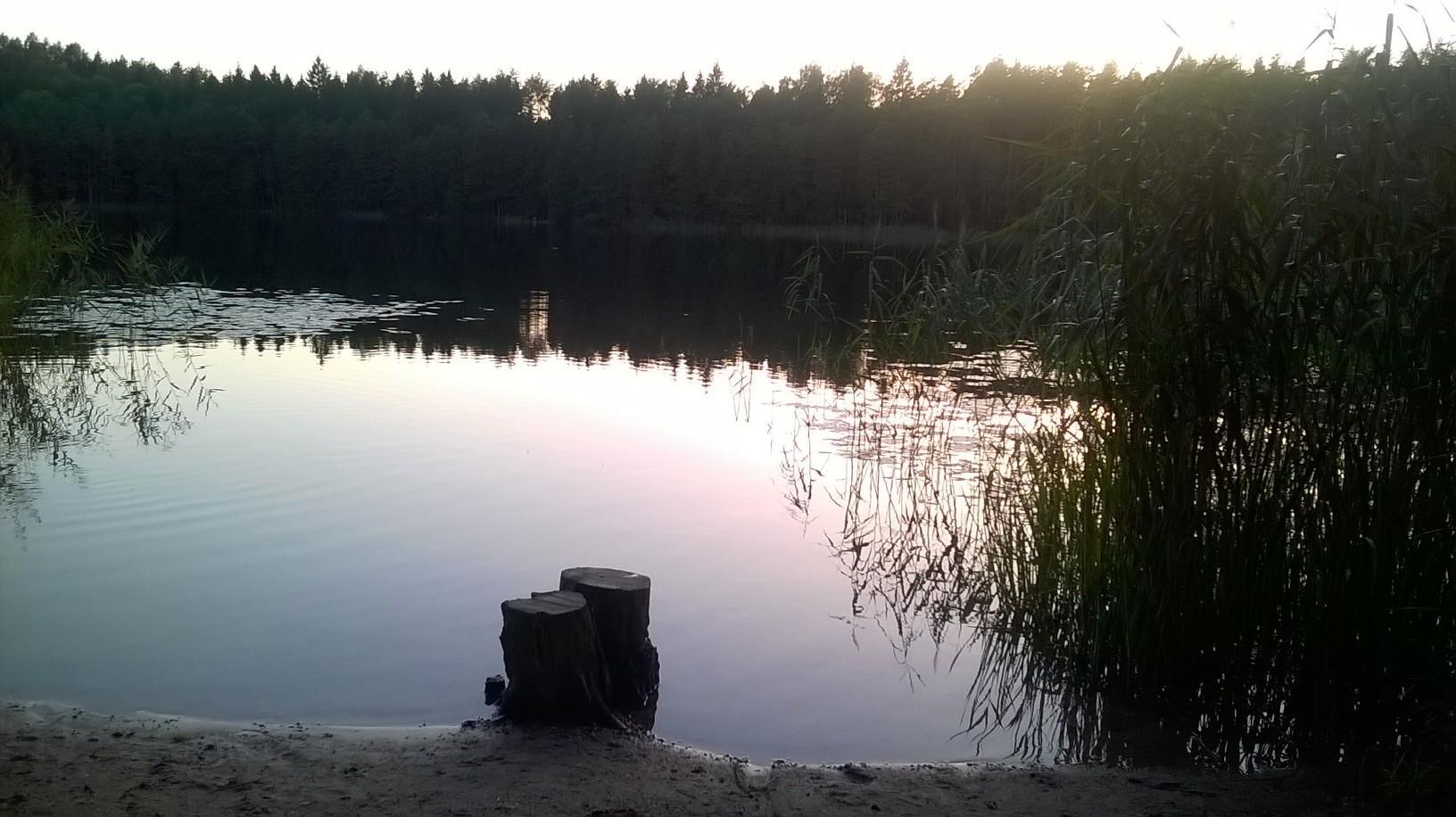 WP_20180808_19_41_58_Pro.jpg