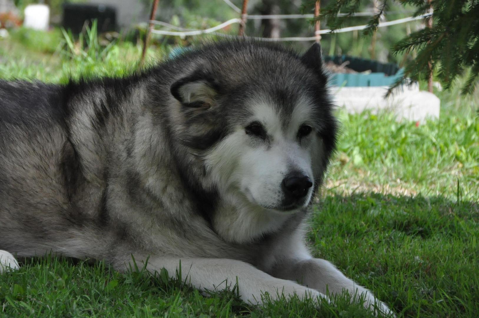DSC_0001.JPG