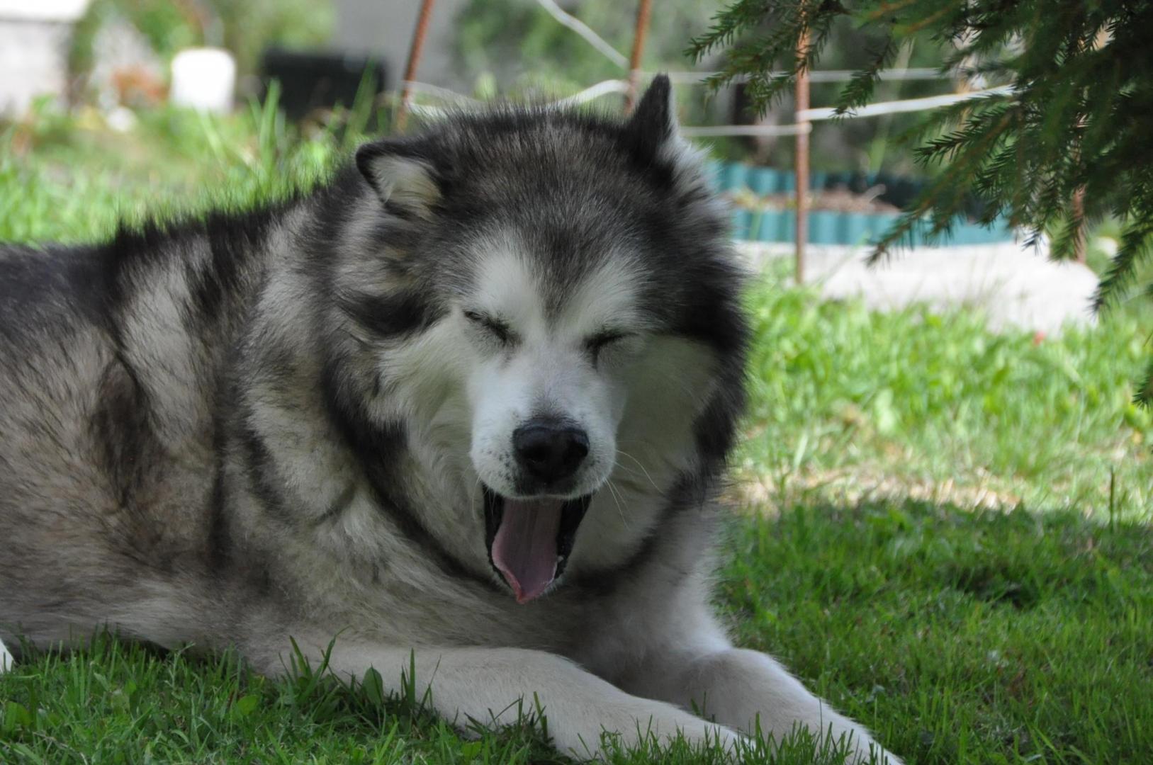 DSC_0004.JPG