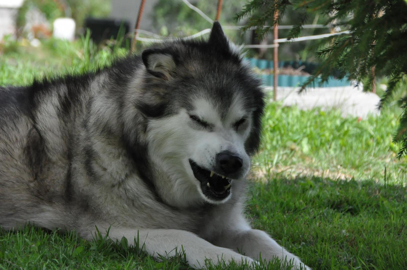 DSC_0008.JPG