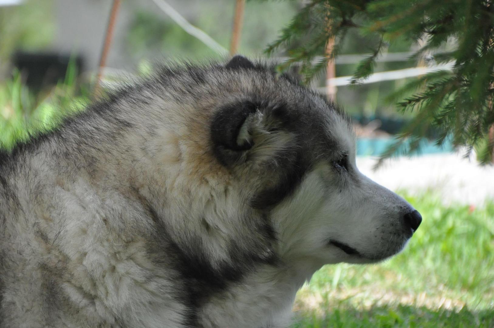 DSC_0012.JPG