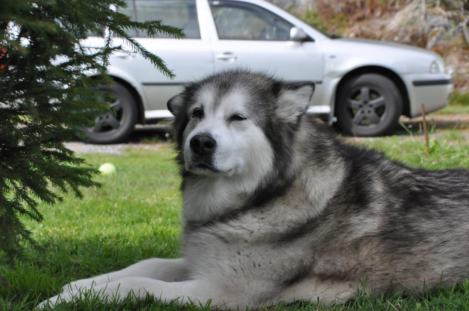 DSC_0016.JPG