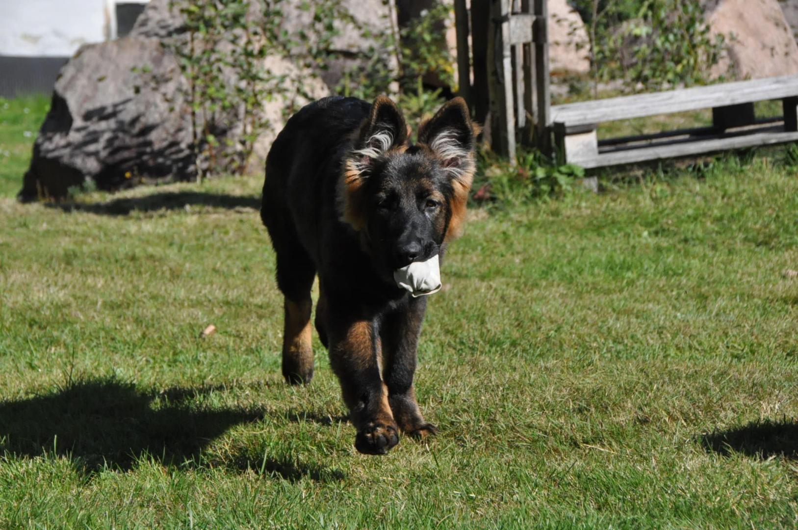 DSC_0021.JPG