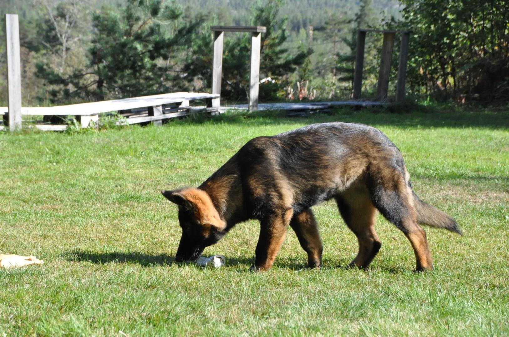 DSC_0038.JPG