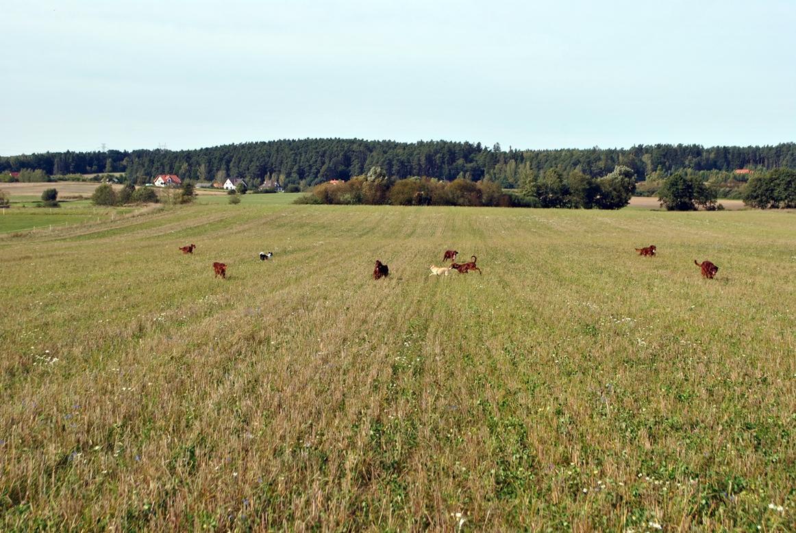 DSC_0040.JPG