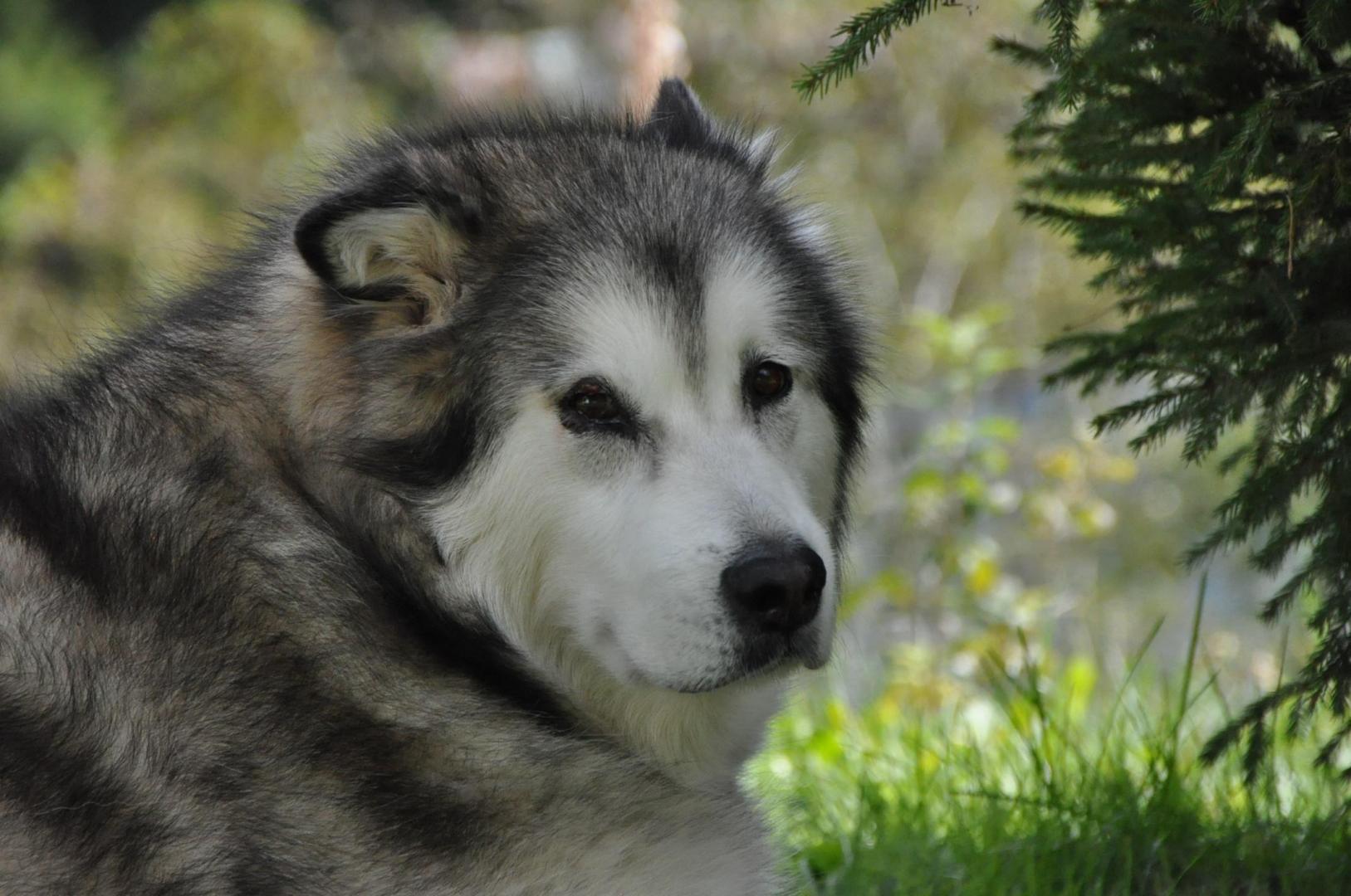 DSC_0047.JPG