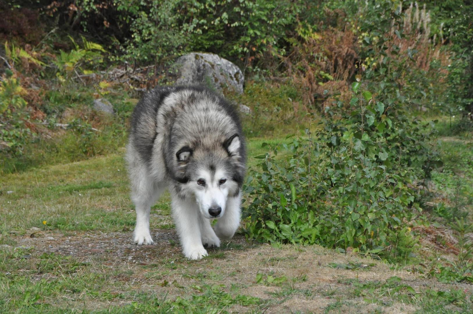 DSC_0060.JPG