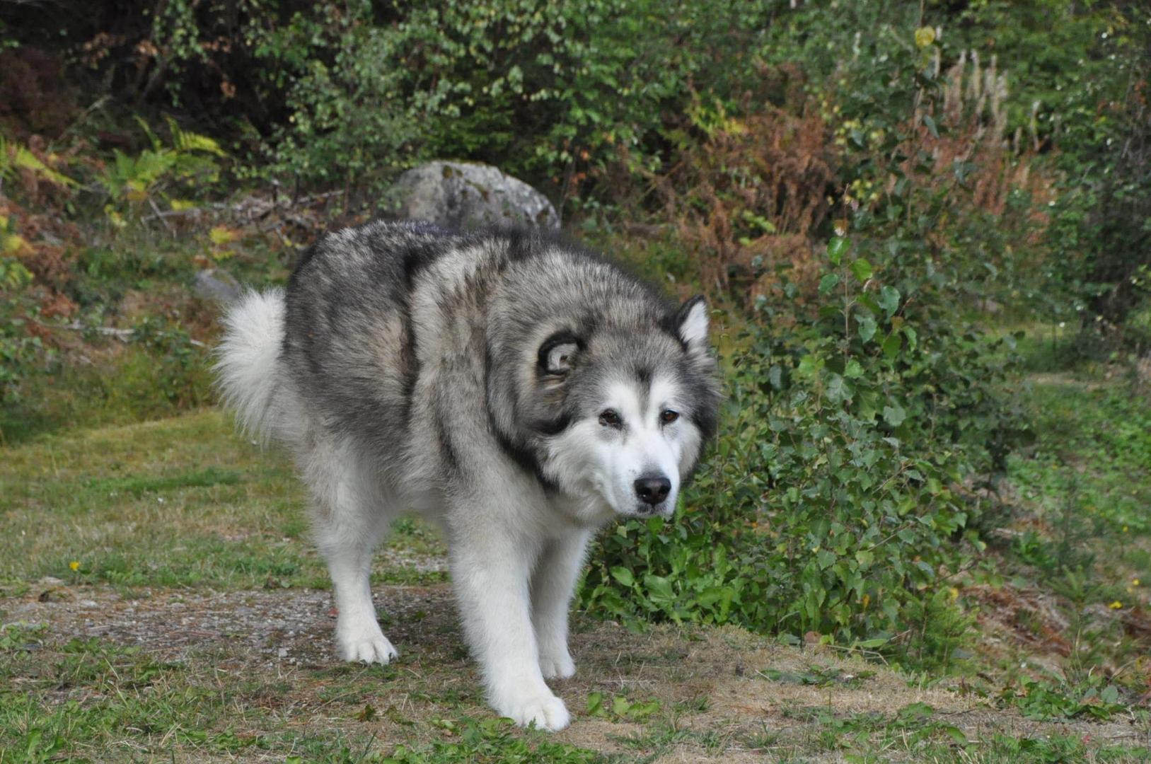 DSC_0063.JPG