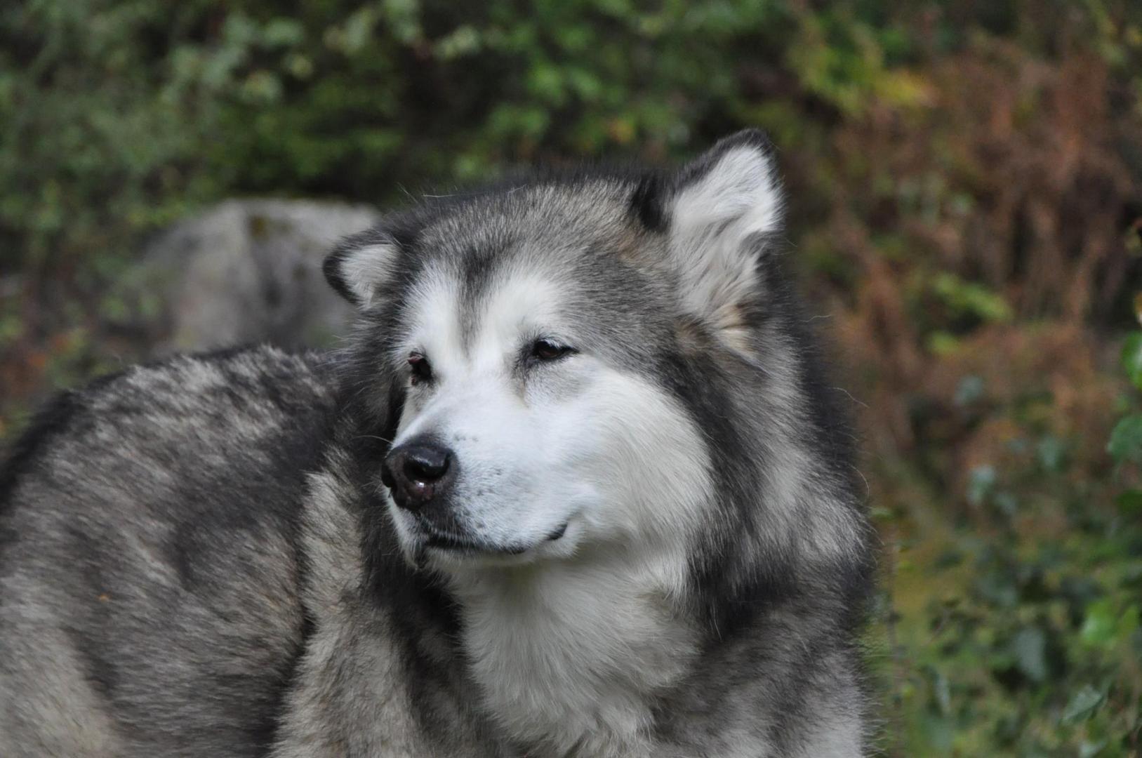 DSC_0066.JPG