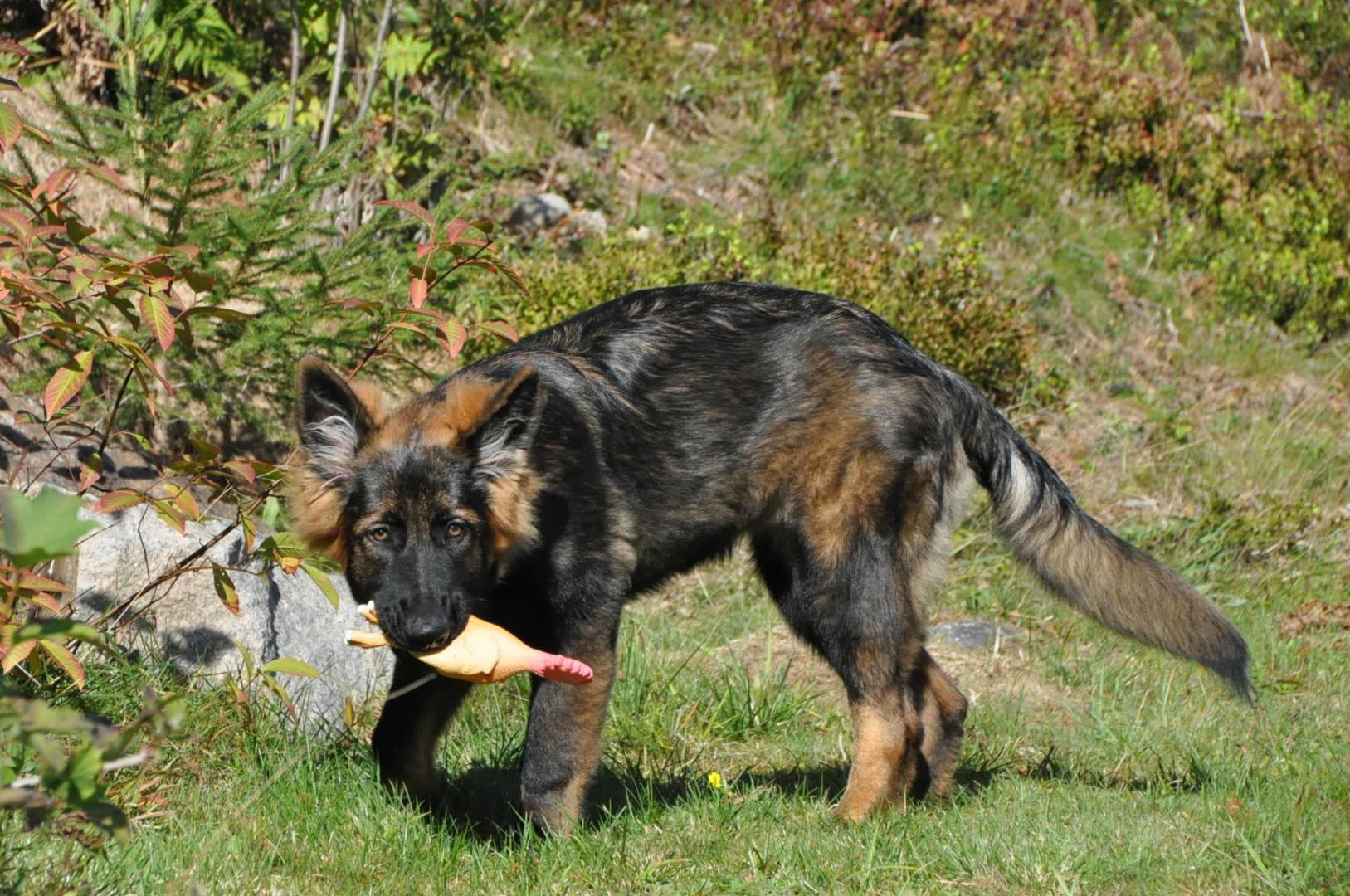 DSC_0074.JPG