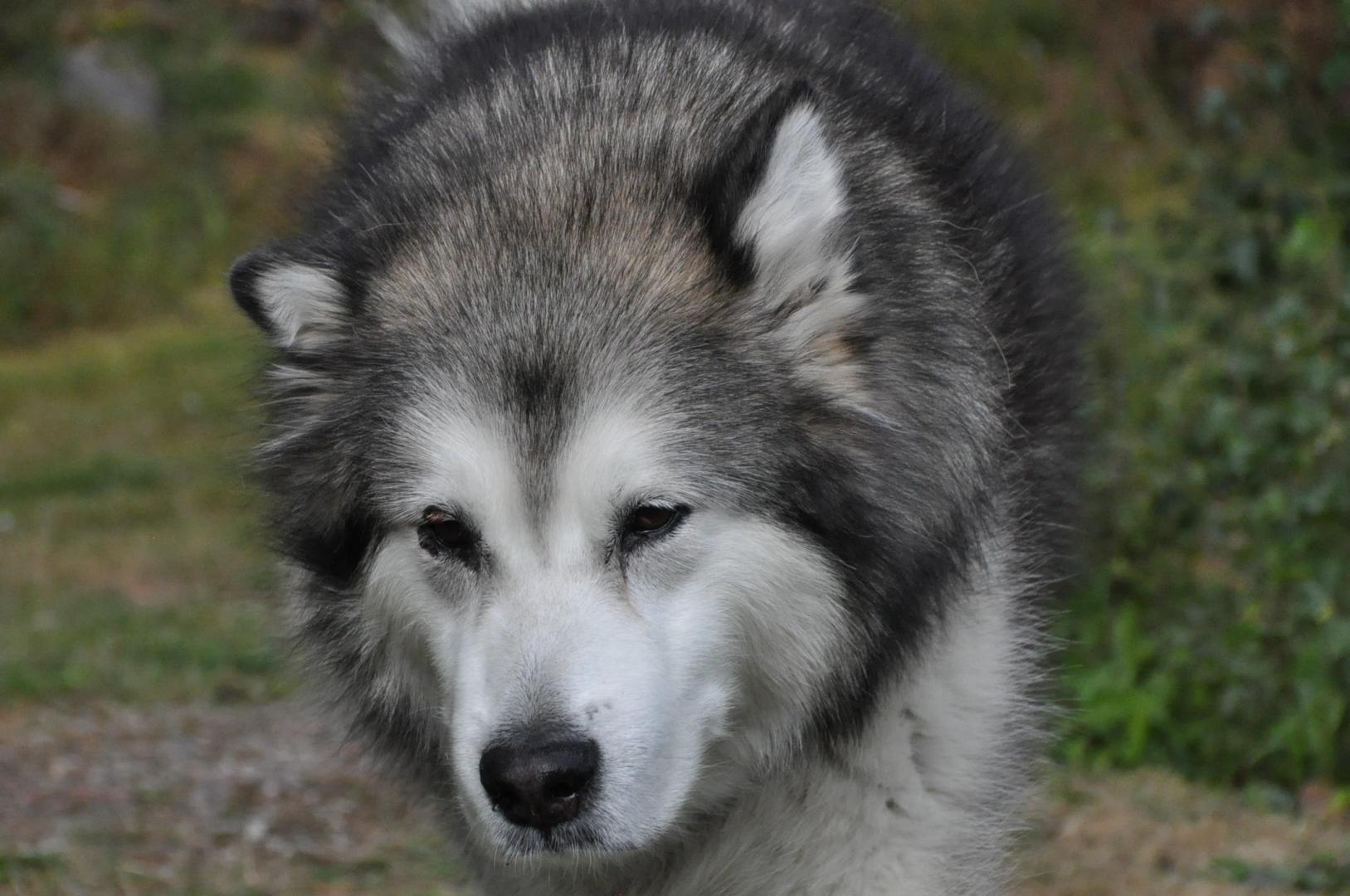 DSC_0083.JPG