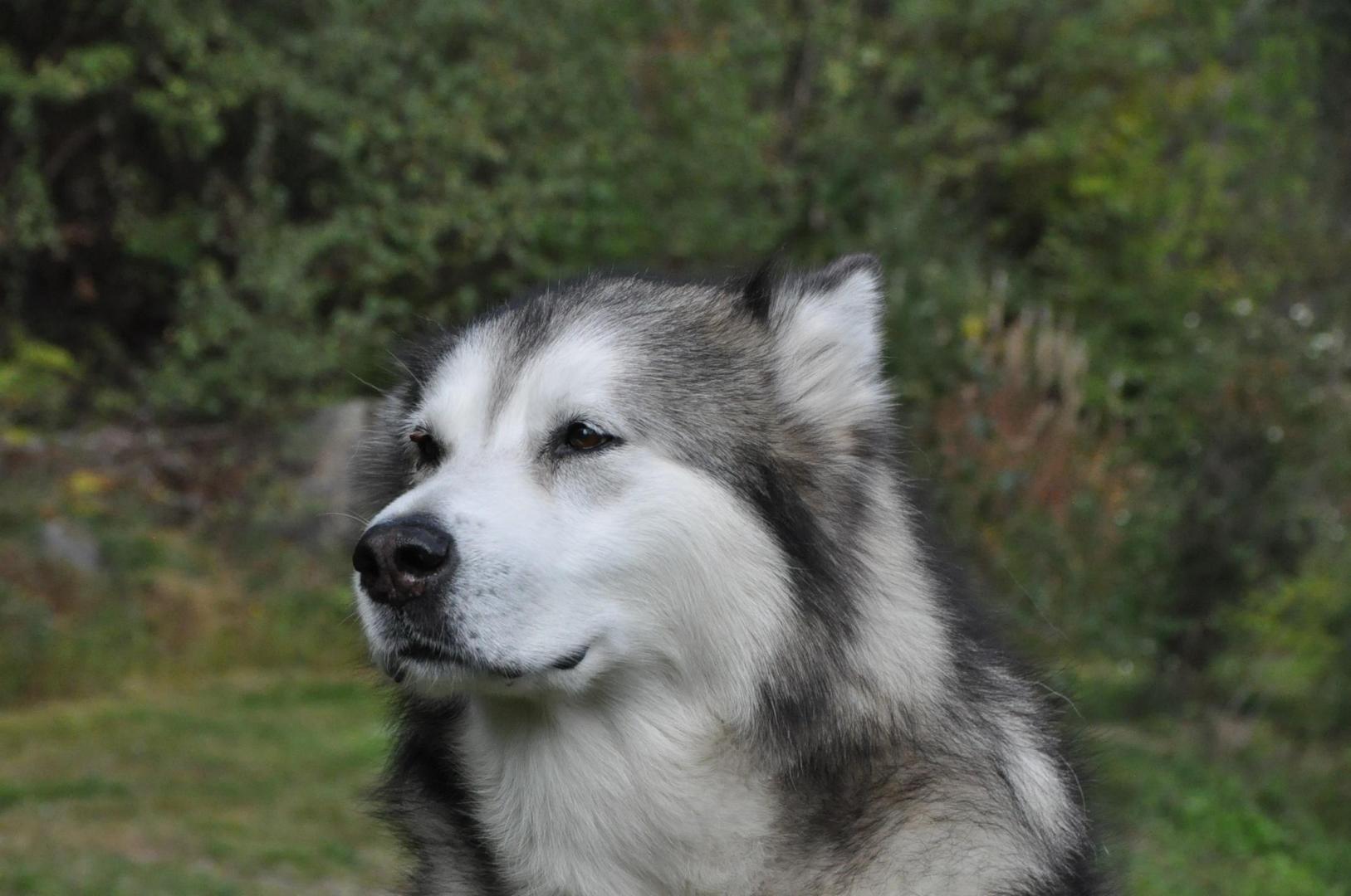 DSC_0088.JPG