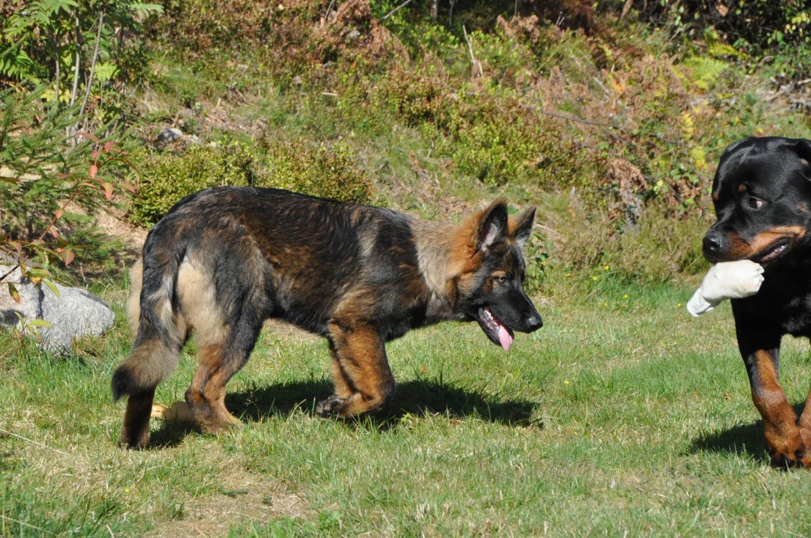 DSC_0109.JPG