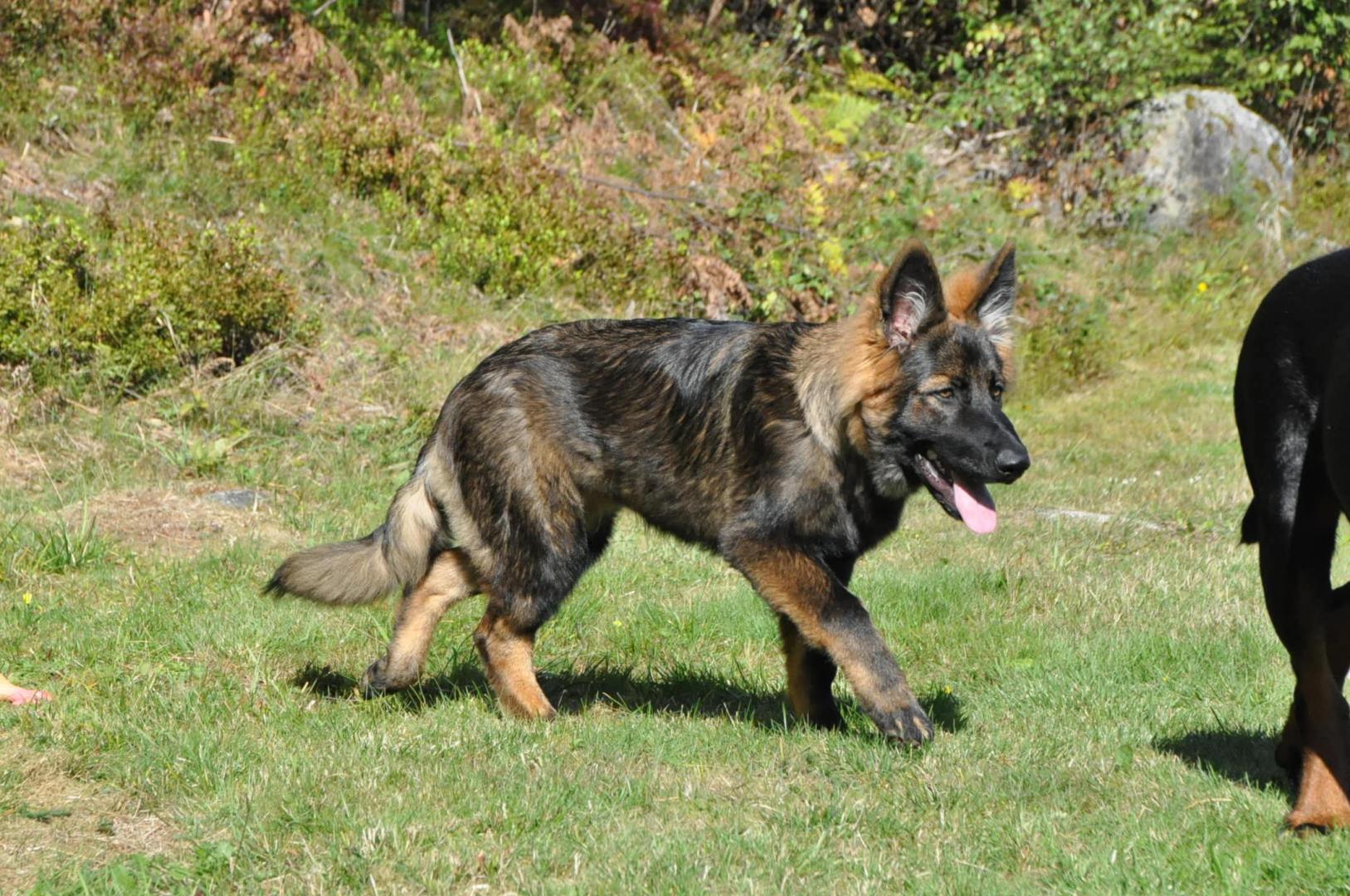 DSC_0113.JPG