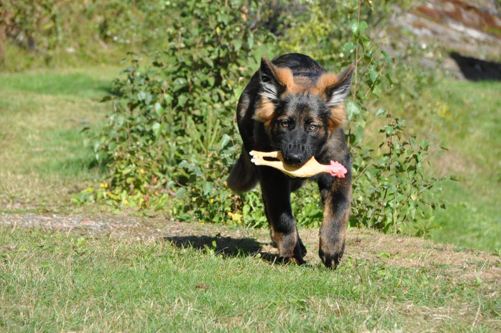 DSC_0156.JPG