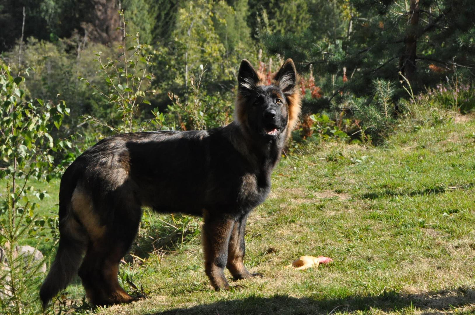 DSC_0238.JPG