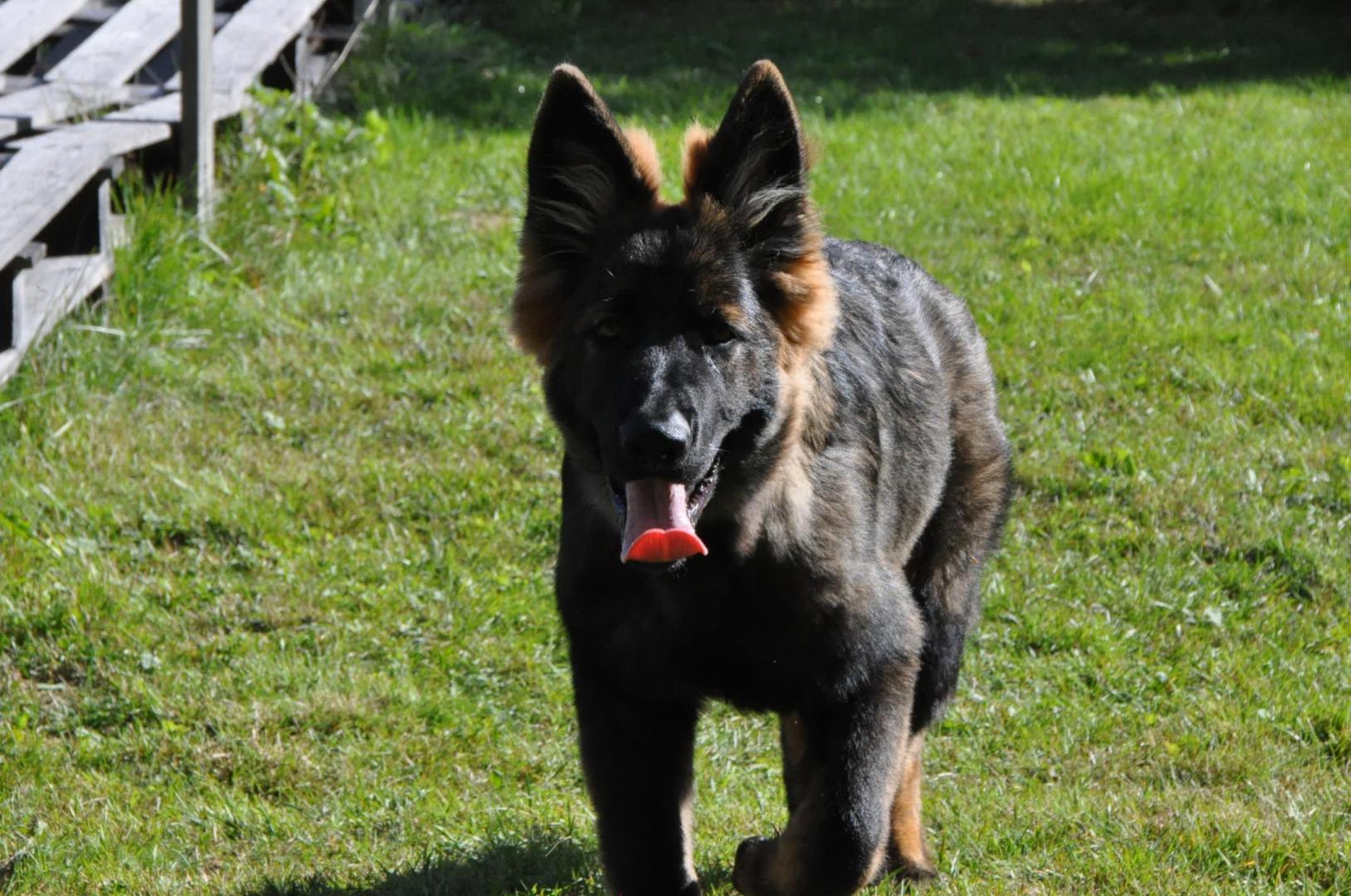 DSC_0276.JPG