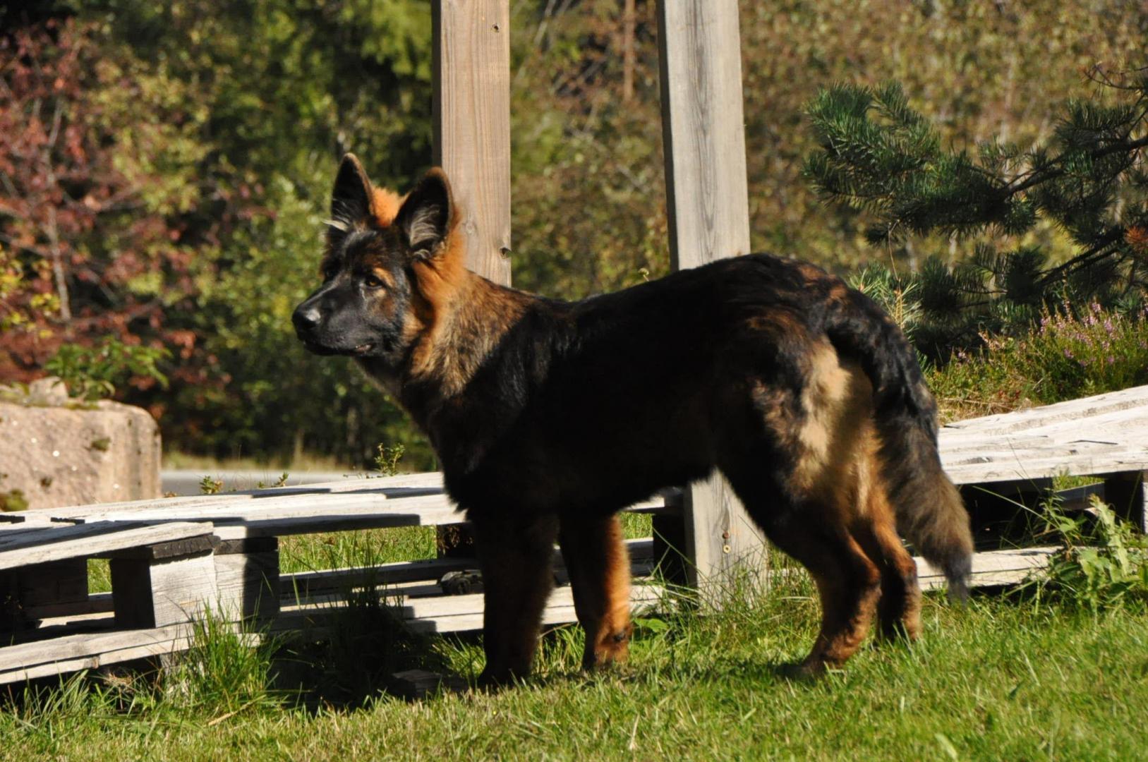 DSC_0307.JPG