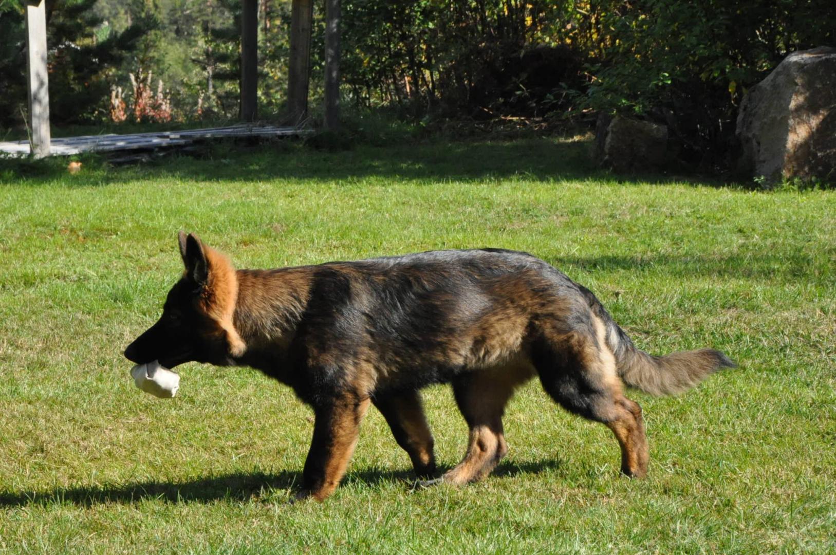 DSC_0349.JPG