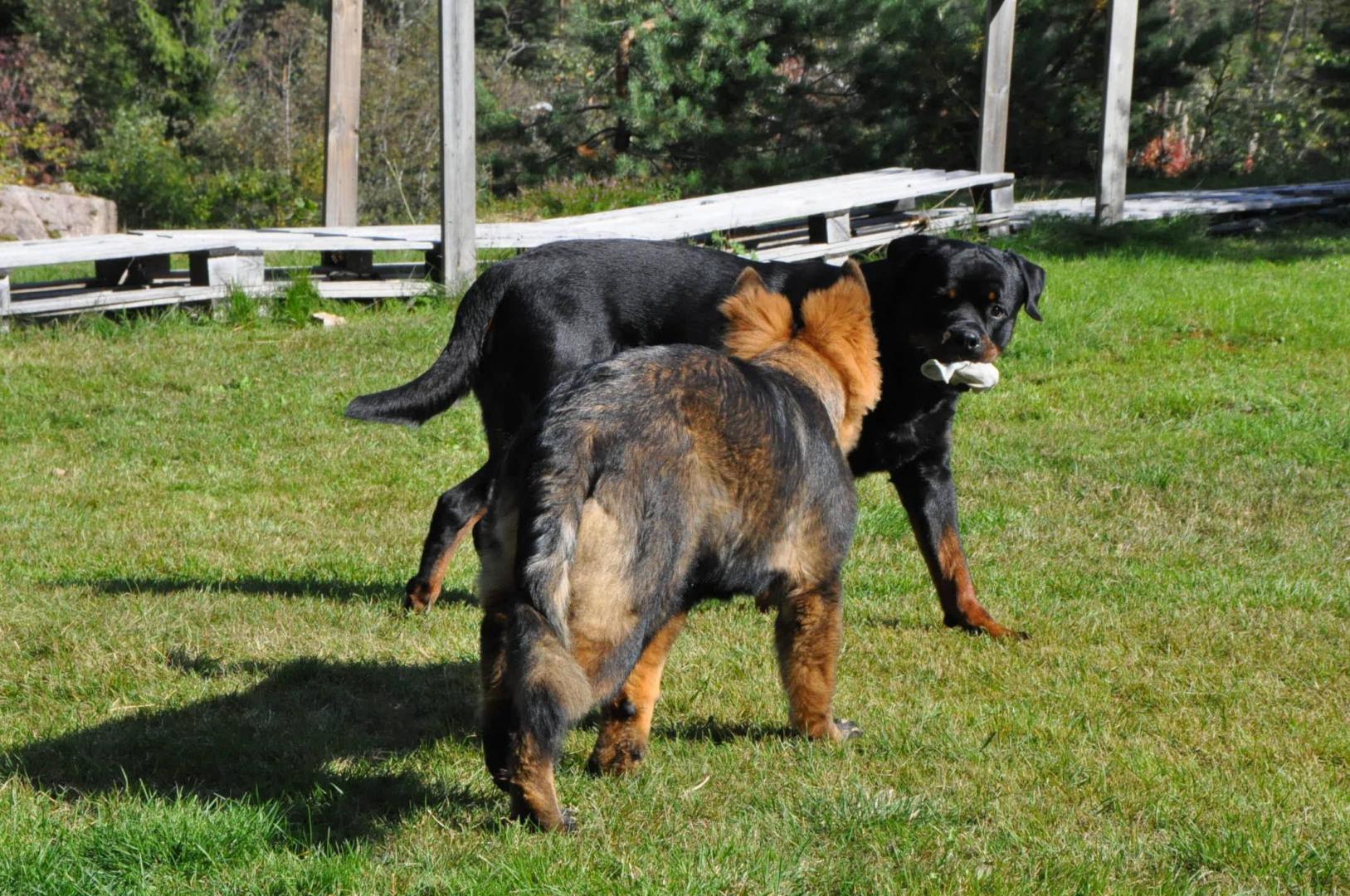 DSC_0583.JPG
