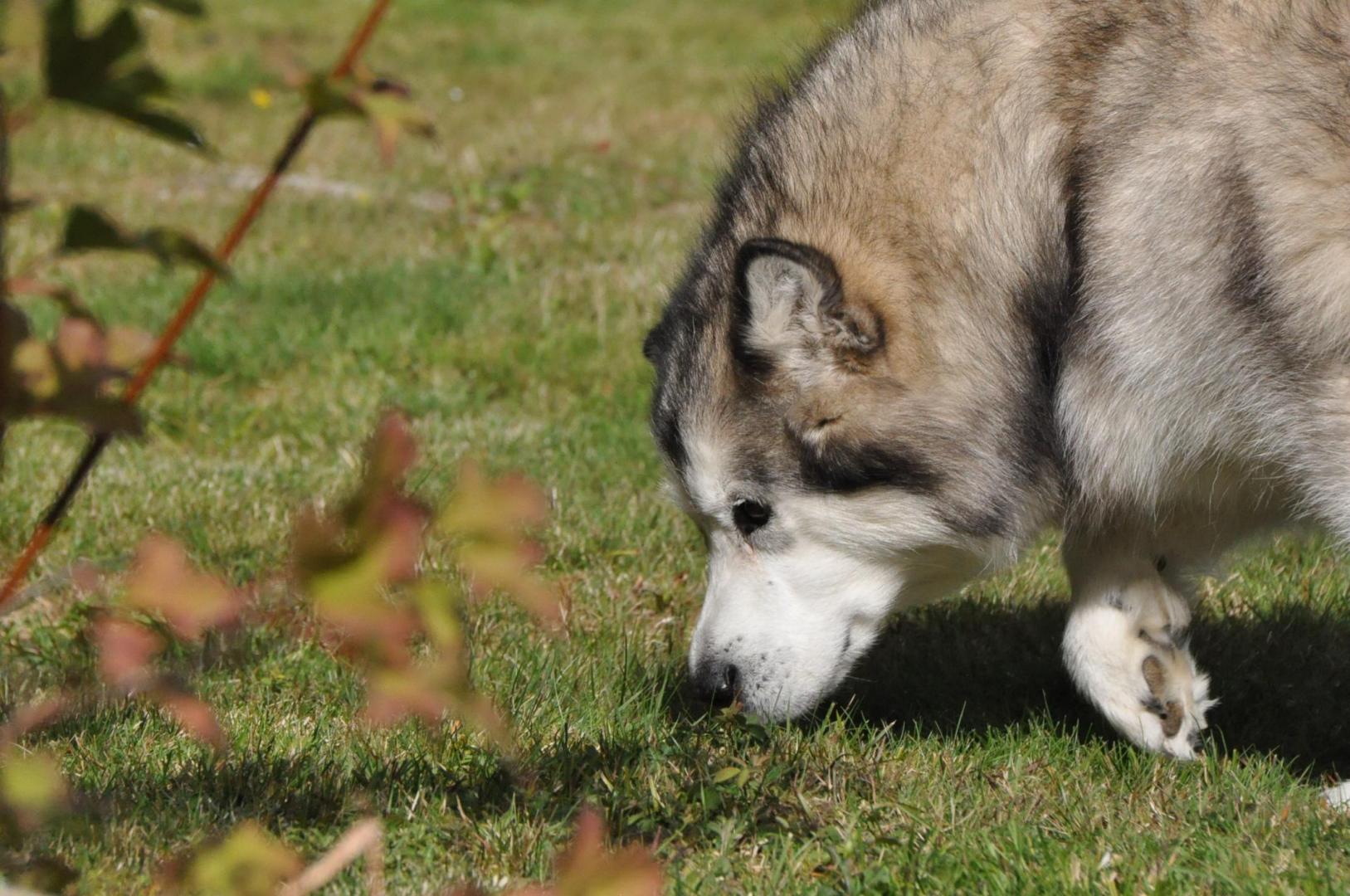DSC_0586.JPG