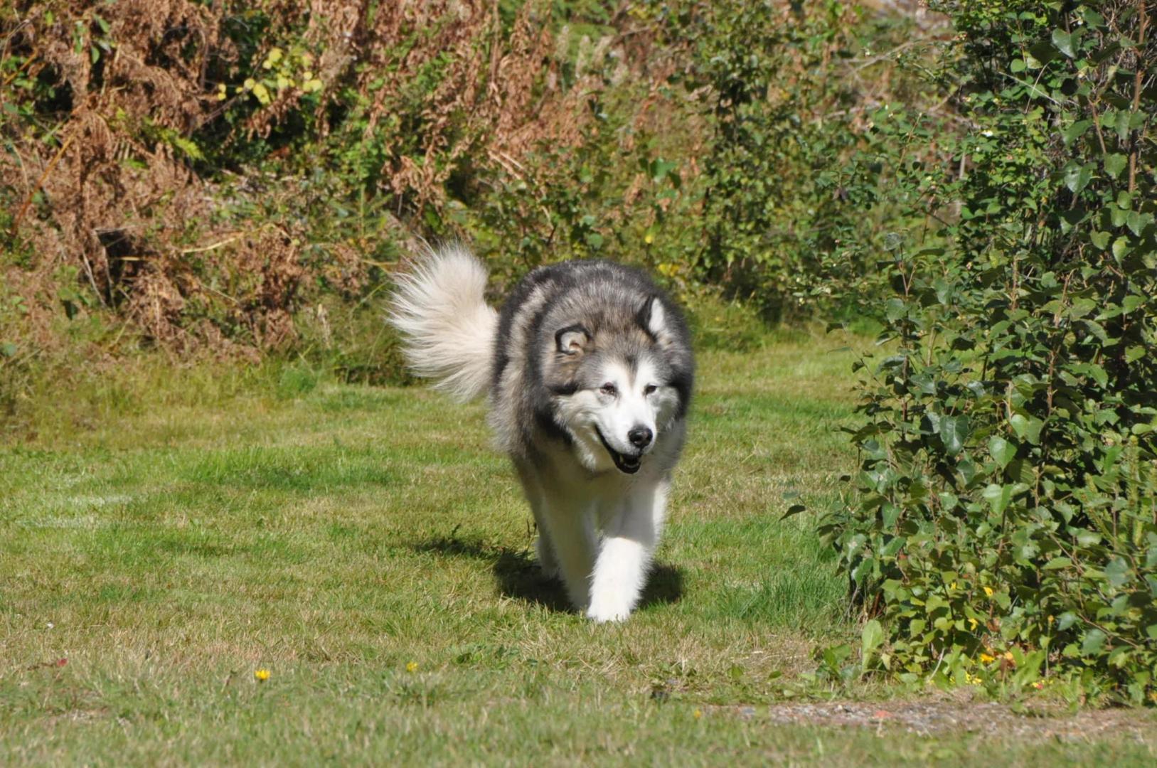 DSC_0847.JPG