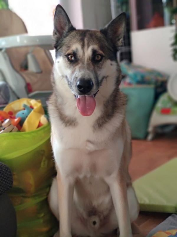 SAVE_20180919_215655.jpg