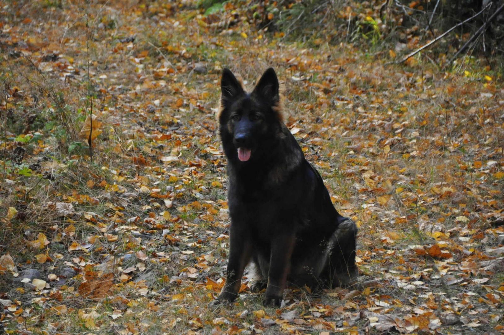 DSC_0039.JPG