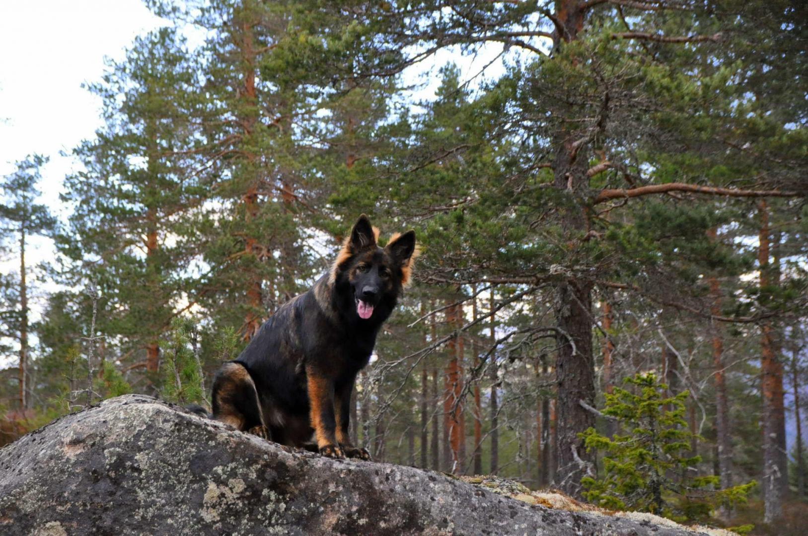 DSC_0069.JPG