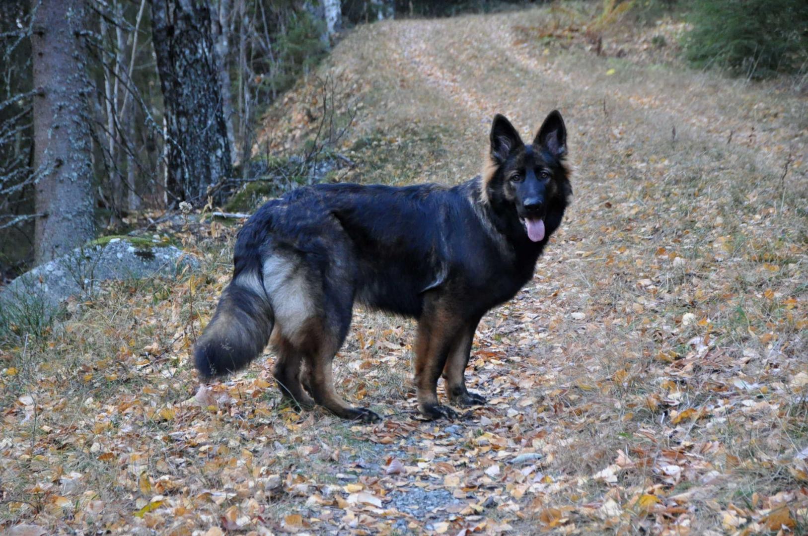 DSC_0070.JPG